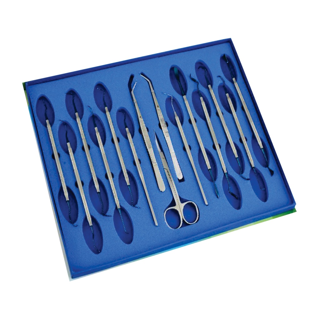 Periodontal Set of 12 Blue