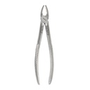 Extracting Forceps for Junior - Upper jaw