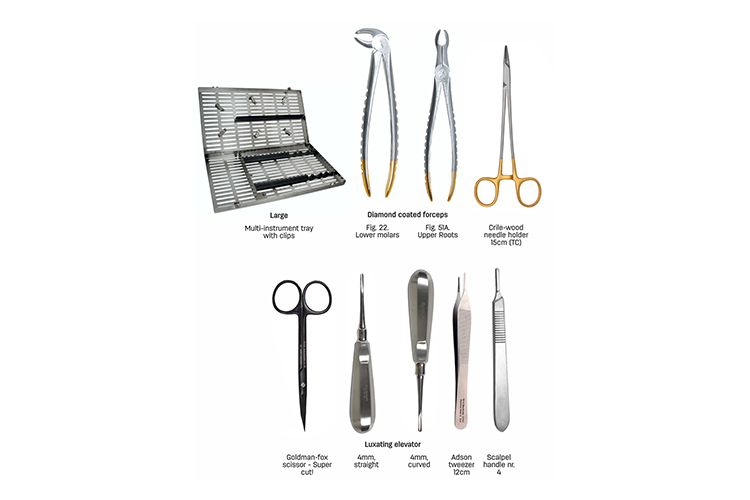 Veterinary Dental Instrument Trays & Sets