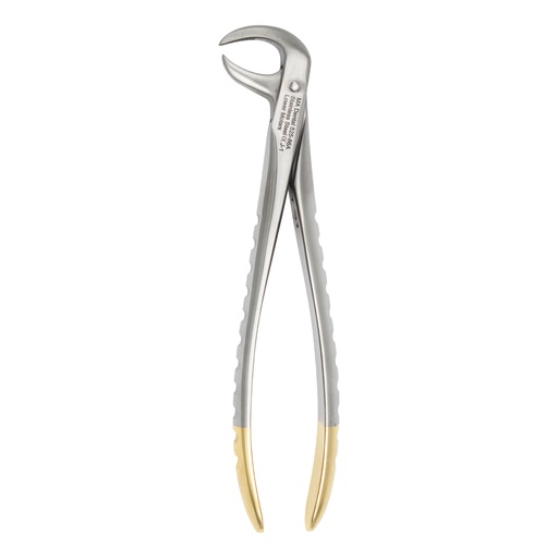 [525-86A] Lower molars