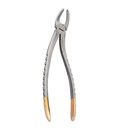 Extracting Forceps: HERTZ (Diamond)