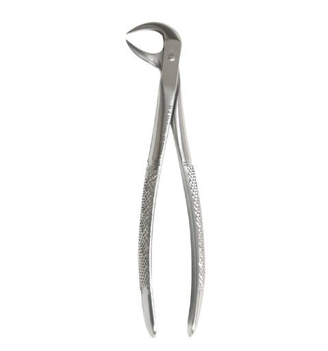 [520-86A] Lower molars