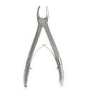 Extracting Children Forceps Upper pre molar