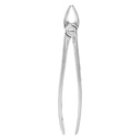 Fig.7  Upper Premolars 16.5cm