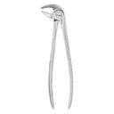Fig.13A Lower Incisors & Canines