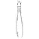 Fig.18 Upper Molars Left 16.5cm