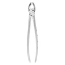 Fig.21 Lower Molars Either Side