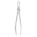 Fig.49 Very Fine Upper Roots 18cm