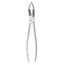 Fig.51 Upper Roots 18cm