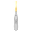 Fig.5B Bein 3.2mm Gold