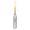 Fig.6B Bein 3.8mm Gold