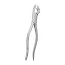 Crown Sitter 18cm